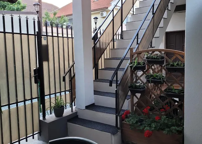 Dalex 艾福雷诺德